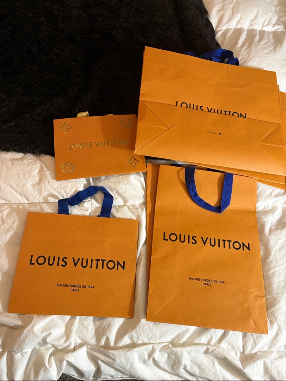 Set of 2 Authentic Louis Vuitton Paper Shopping Bags – [Size, e.g., Large] – Exc